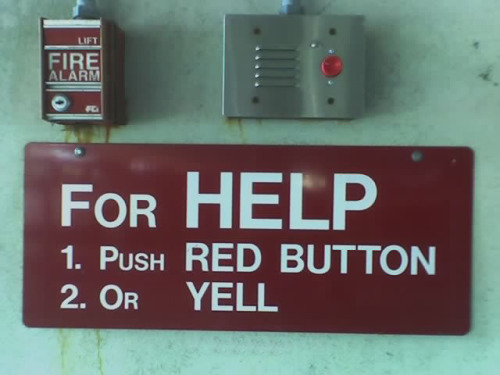 yell for help
